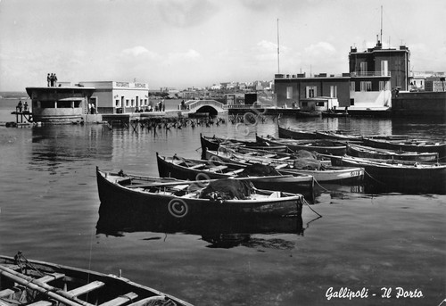 Cartolina gallipoli porto - cartolina,