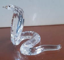 Serpente Cobra cristallo