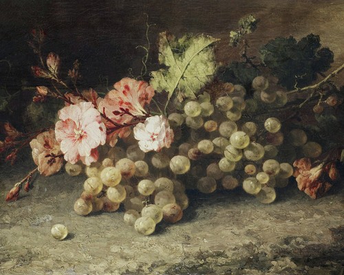 Quadro vintage natura - , morta