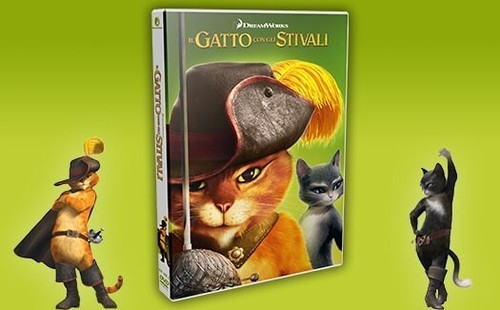 Gatto con gli - gatto,