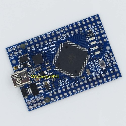 Nuovo piccolo meduino - piccolo,
