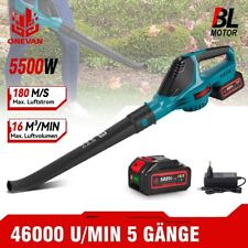 Aspirafoglie Soffiatore Foglie