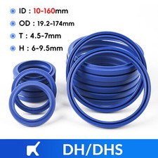 DHS Guarnizione Ram Idraulica