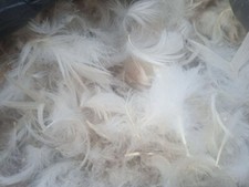 Piuma Piumino 2 kili Oca 100% naturale Imbottitura Cuscini Piumoni fai da te