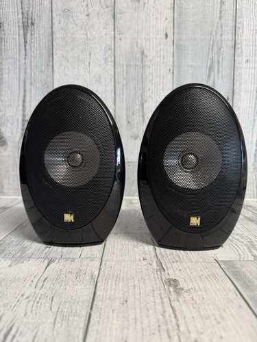 Coppia altoparlanti surround