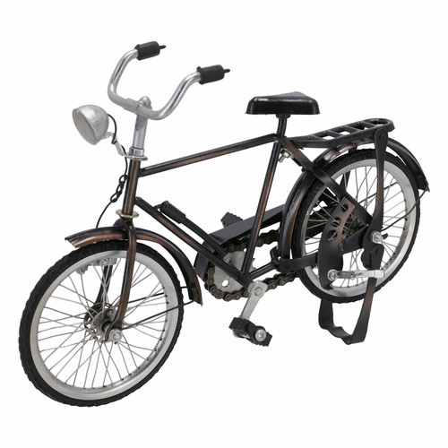 Modellino bicicletta uomo
