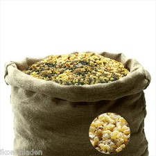 Oman incenso puro Boswellia