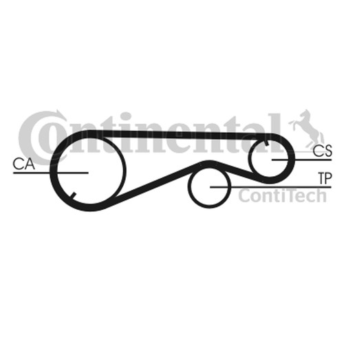 Cinghia distribuzione - cinghia,