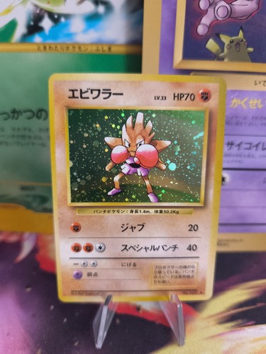 Carta pokemon card nockchan - card,