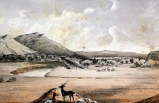 1860 FIUME LATTE VICINO