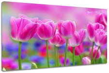 Quadro Moderno Arredamento Fiori Tulipani Rosa Stampa su Tela Arredo Casa 