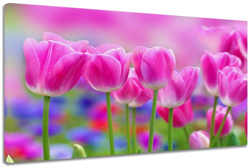 Quadro moderno arredamento - quadro,