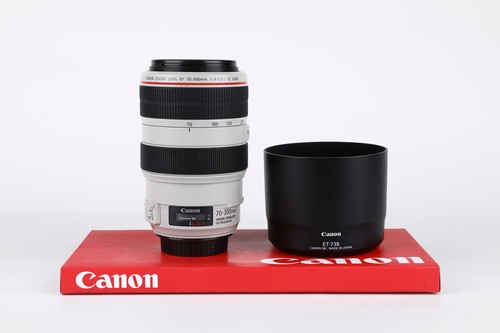 Canon 300mm 6 - 70-300mm, is