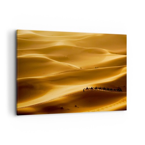 Quadro tela 100x70cm africa - quadro,