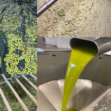 Olio Extravergine d’Oliva