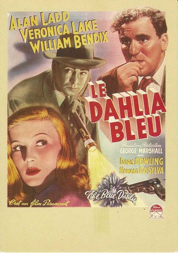 Dahlia bleu alan - bleu",