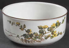 Villeroy and Boch Botanica 9"