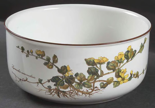 Villeroy and boch - and, botanica