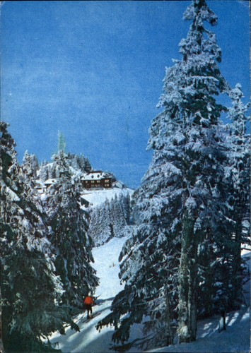 Sci poiana brasov - poiana,