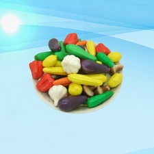 50 Pcs Arredamento Vegetale