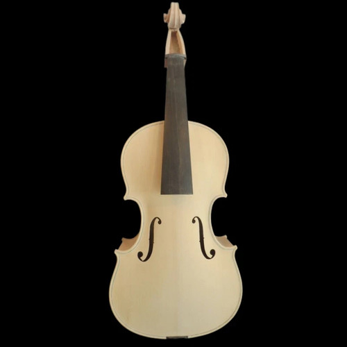 Viola corde incompiute 15 - 5,