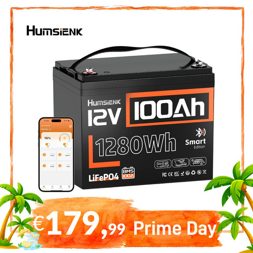 Batteria 12v 100ah lifepo4 - batteria,