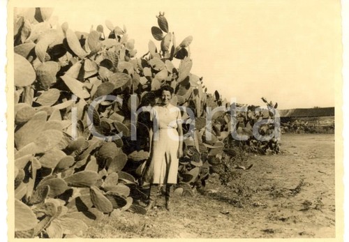 1937 aoi balad - balad, (somalia)