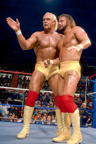 Wwe giant x36 poster - wwe,