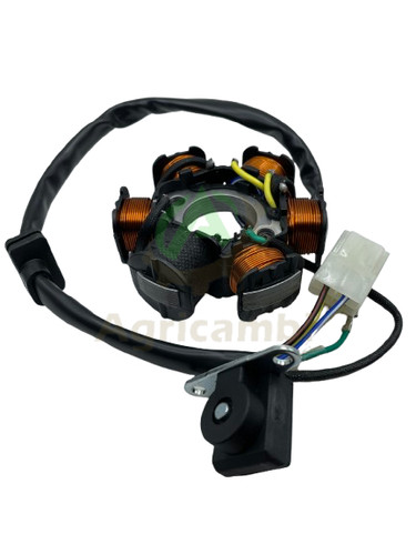 Statore accensione magneto - di,