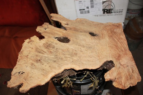 Legno di - (resin-epoxy),