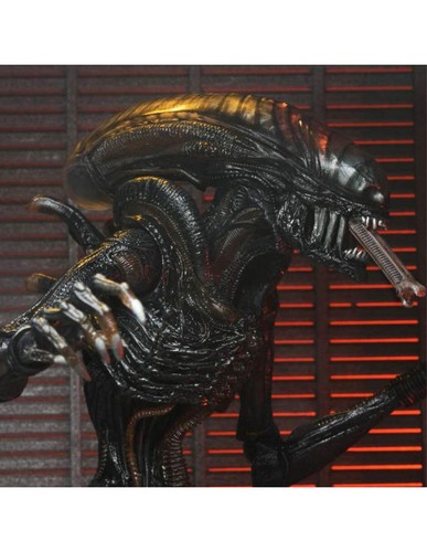 Neca alien romulus - neca,