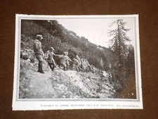 WW1 Prima guerra mondiale del