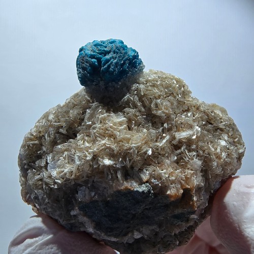 Rara cavansite matrice - rara,