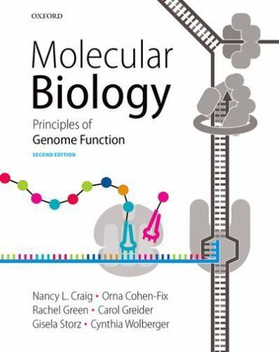 Molecular biology principles - molecular, biology: