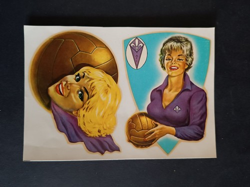 Decalcomania calcio fiorentina - decalcomania,