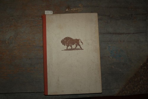 Selvaggio wisent - il,