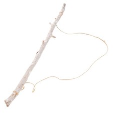  Rami Decorativi Decorazione