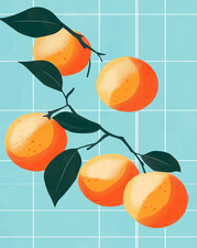 Arte da parete agrumi arancio