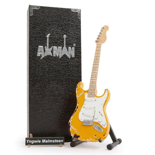 The fastest guitarist - "the,