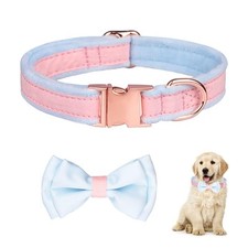 Collare cane,Papillon per cani