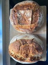 Lievito Madre Licoli secco