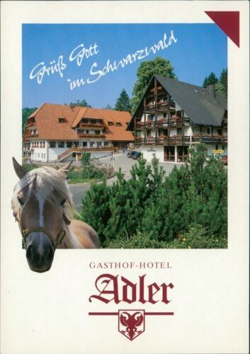 Cartolina wolfach san romano - wolfach,