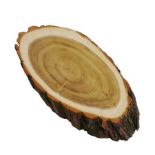 Cervi Scudo Trofeo Acacia