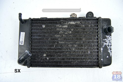Radiatore acqua sinistro honda - radiatore,