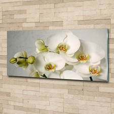 Quadro immagine arte parete - da,