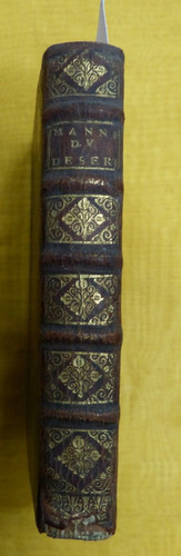 Grasset manne du desert - manne,