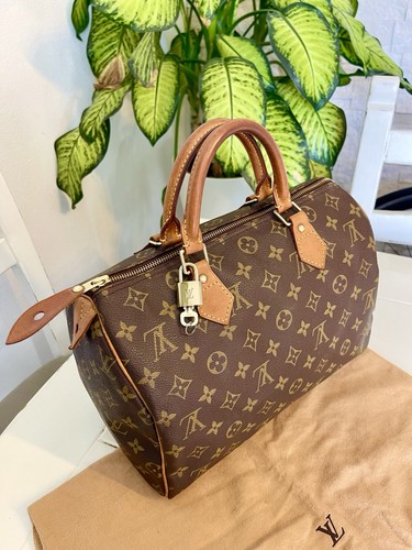 Louis vuitton speedy - vuitton, 30