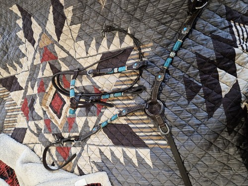 Circle turquoise roundup - turquoise,