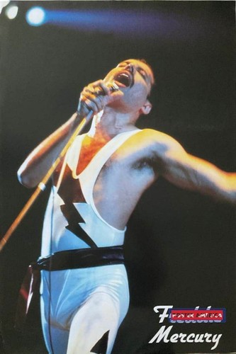 662769 freddie mercury - 662769,