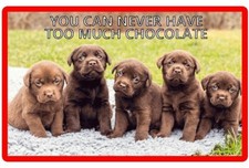 Funny Chocolate Labrador